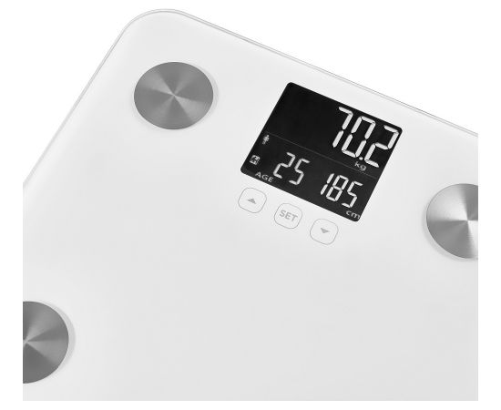Personal fitness scale Sencor SBS6025WH