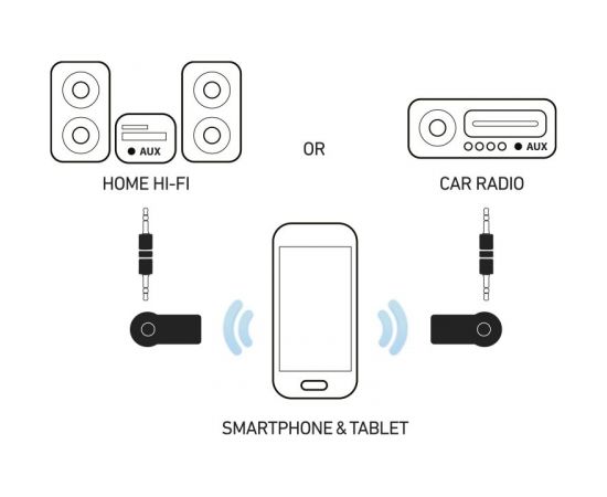 sbs TECARBTRECAIVERK Caer Wireless Receiver