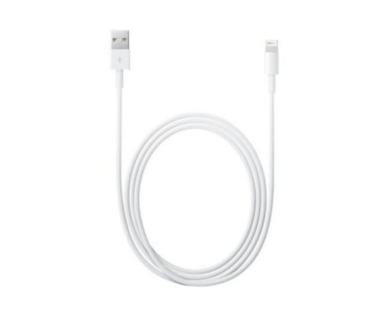 Apple MD818ZM/A Lightning to USB Cable (1m) Bulk