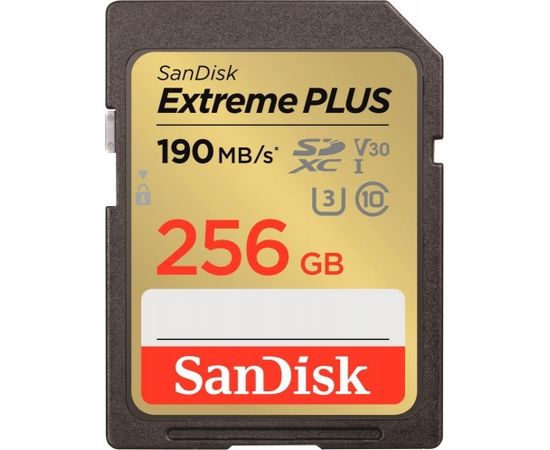 MEMORY SDXC 256GB UHS-1/SDSDXWV-256G-GNCIN SANDISK