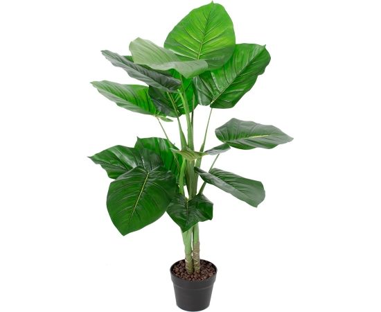 Zaļš augs POTHOS, H90cm