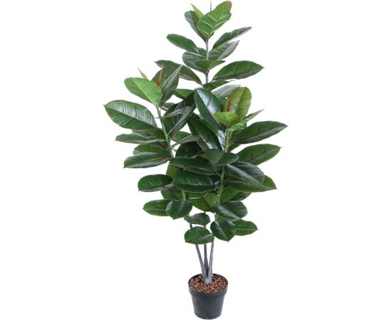 Mâkslîgs koks RUBBER PLANT H130cm, melns puíupods