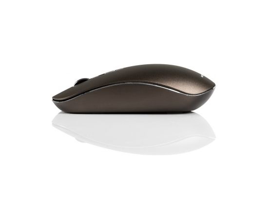 Modecom M-MC-WM101-300 mouse Ambidextrous RF Wireless Optical 1600 DPI