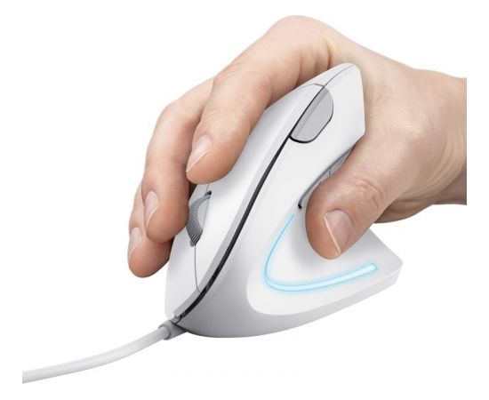 Trust Verto mouse Right-hand USB Type-A Optical 1600 DPI