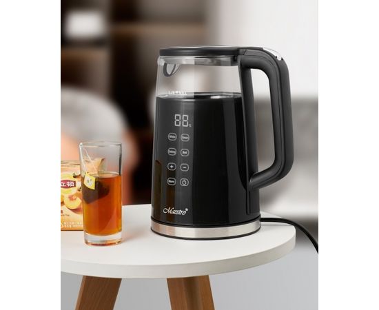 MAESTRO MR-049 electric kettle