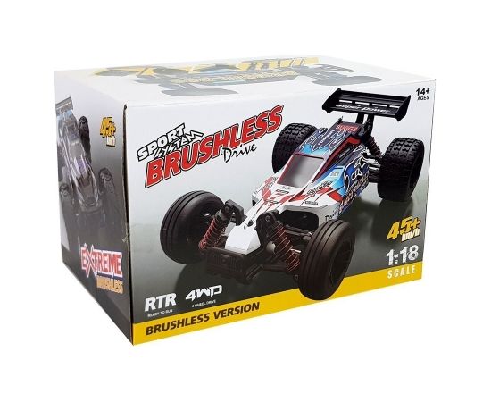 Import Leantoys Remote Controlled Rally Car 1:18 Blue ENOZE 9302E Speed 45 km/h