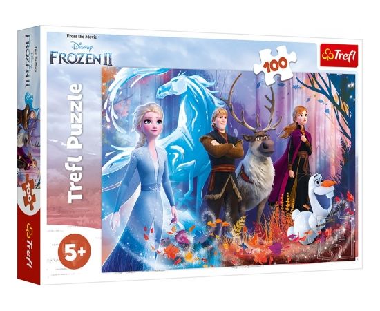 TREFL FROZEN Пазл Ледяное сердце 2, 100 шт.