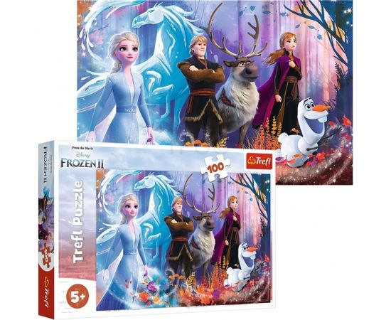 TREFL FROZEN Пазл Ледяное сердце 2, 100 шт.