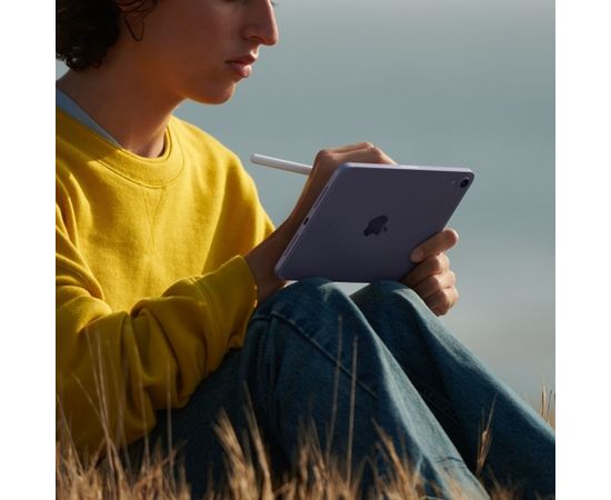 Apple iPad mini 5G TD-LTE & FDD-LTE 256 GB 21.1 cm (8.3") Wi-Fi 6 (802.11ax) iPadOS 15 Grey