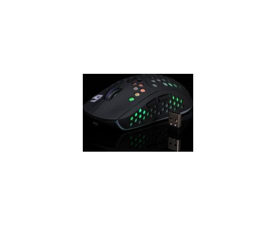 Datorpele Gembird Wireless Gaming Mouse Black