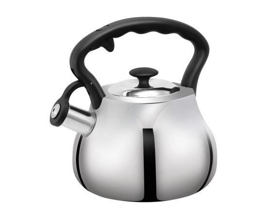 PROMIS ANDREA kettle 3.0 l, silver, black handle