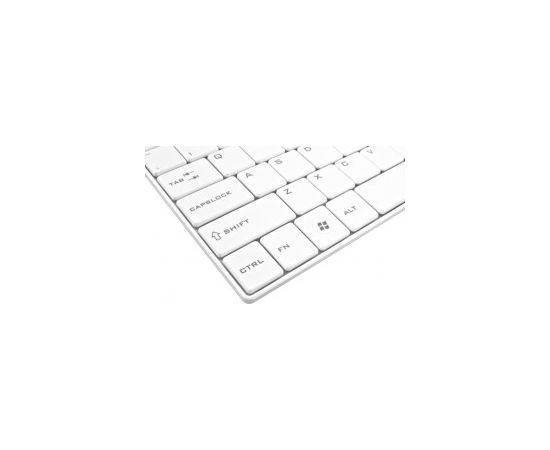 Esperanza EK122W keyboard RF Wireless QWERTY White