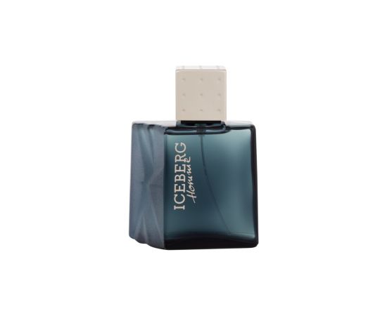 Iceberg Homme 100ml