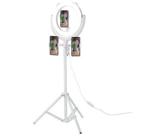 Remax Selfie Holder with Ring LED Light (white)