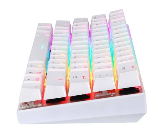 Wireless Mechanical keyboard Motospeed SK62 White (red switch)