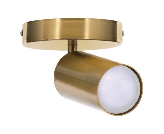 Activejet SPECTRA single gold ceiling wall lamp GU10 for living room