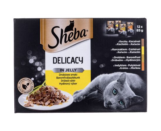 Sheba Delicacy in Jelly Chicken Flavours 12 x 85 g