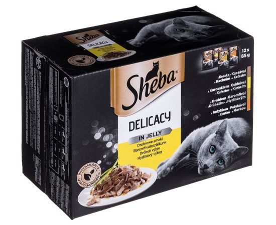 Sheba Delicacy in Jelly Chicken Flavours 12 x 85 g