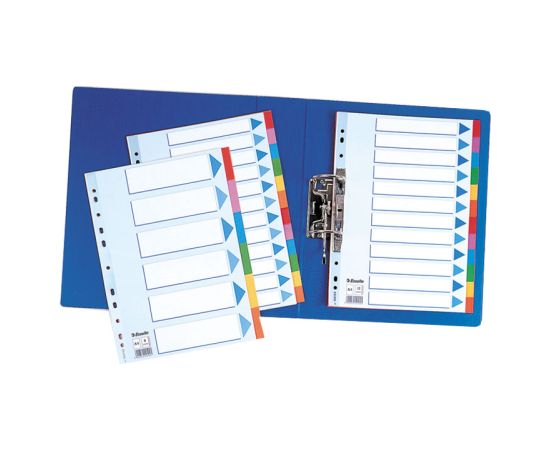 Sadalītājs dokumentiem Esselte, kartona,,A4 formāts, 1-12 krāsains