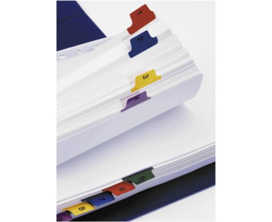 Sadalītājs dokumentiem Esselte A4, 1-20 kartona ar krāsainiem cipariem