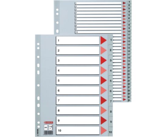 Sadalītājs dokumentiem Esselte A4 formāts, 1-31, plastikāta