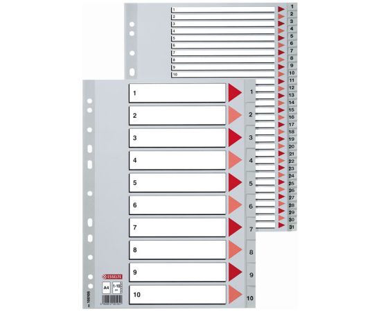 Sadalītājs dokumentiem Esselte A4 formāts, 1-10, plastikāta