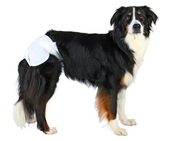 TRIXIE - Nappies for Dogs - XS-S