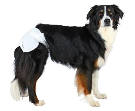 TRIXIE - Nappies for Dogs - L