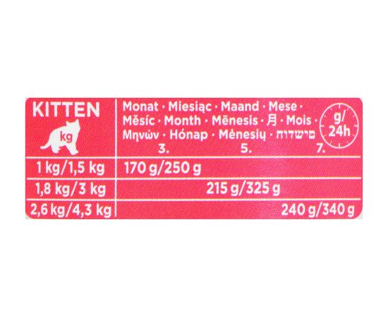 ANIMONDA Carny Kitten Beef Turkey - wet cat food - 400 g