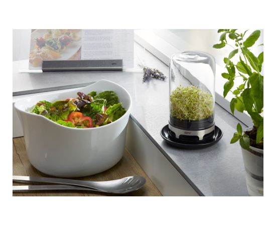 GEFU 18910 jar Acrylonitrile butadiene styrene (ABS), Glass, Silicone, Stainless steel Black