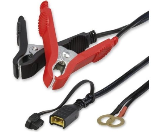 Regenerating Rectifier with Microprocessor AEG 1.0 12V, 1A Akumulatoru lādētāji, starteri