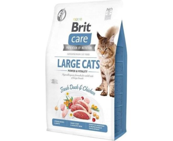 BRIT Care Grain-Free Adult Large Cats - dry cat food - 2 kg