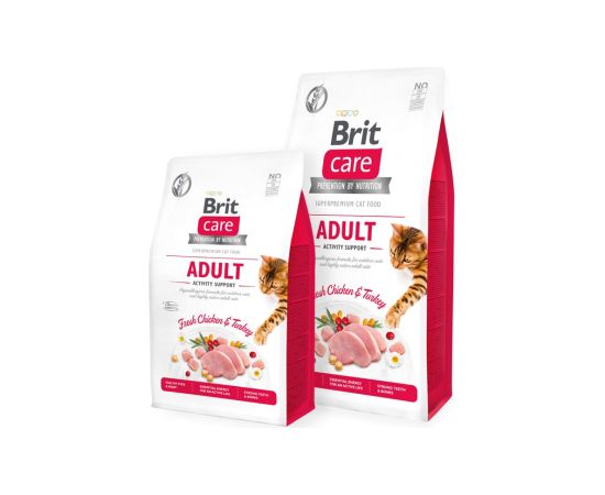 Brit 8595602540815 cats dry food 7 kg Adult Turkey