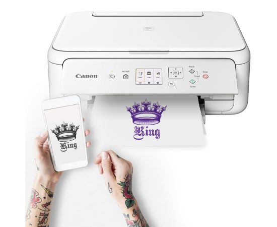 CANON PIXMA TS5151 tintes printeris, White