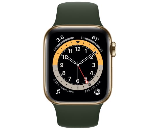 Apple Watch Series 6 40mm Stainless steel GPS+Cellular - Gold (Atjaunināts, stāvoklis Ļoti labi)