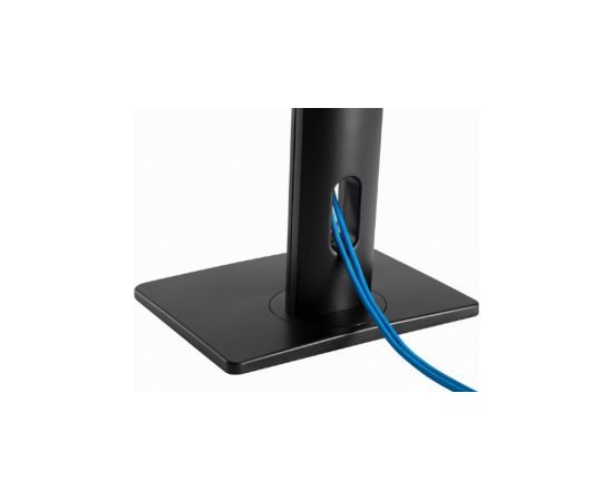 Monitora stiprinājums Gembird Height Adjustable Monitor Desk Stand