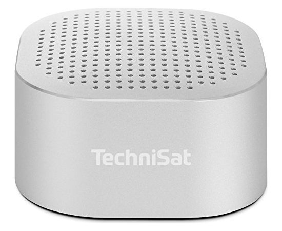 TechniSat BLUSPEAKER TWS XL, speaker (gray, Bluetooth, NFC, 30W, jack)