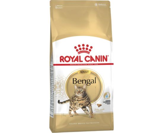 Royal Canin FBN Bengal Adult - dry cat food - 10kg