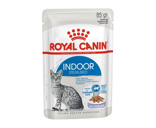 ROYAL CANIN FHN Indoor jelly - wet food for adult cats - 12x85g