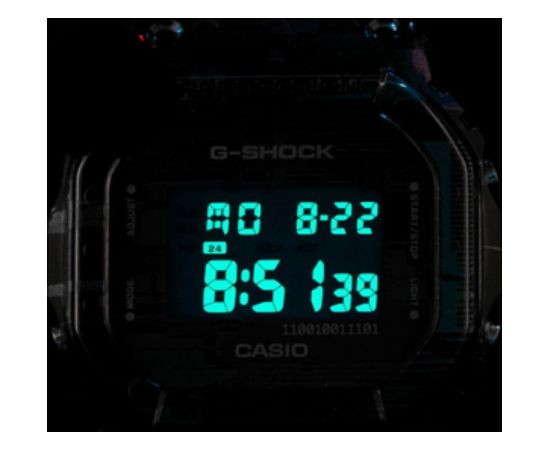 CASIO G-Shock DW-5600NN-1ER