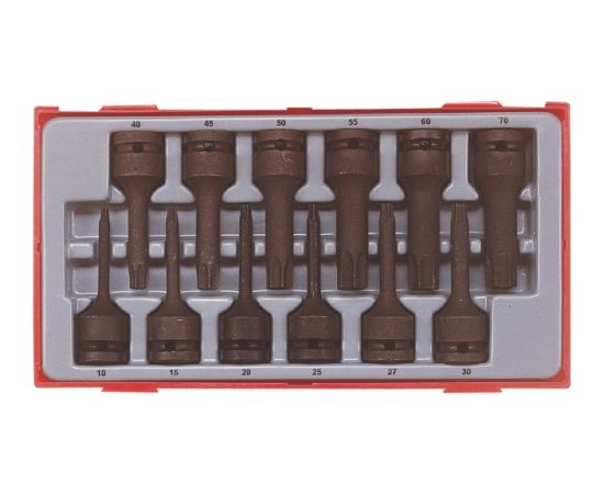 Tengtools Triecienuzgaļu komplekts  Teng Tools TT9212TX; 12 gab. Mehāniskie instrumenti