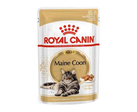 Royal Canin FBN Maine Coon - Cat wet food - sachet 12x 85g