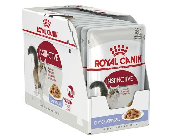 Royal Canin FHN Instinctive in jelly - wet food for adult cats - 12x85g