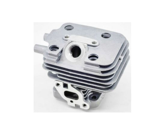Echo Cilindrs CS-250ES