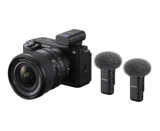 Sony Беспроводной 2-ух канальный микрофон ECM-W3