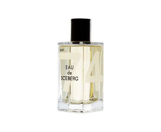 Iceberg EDT 100 ml