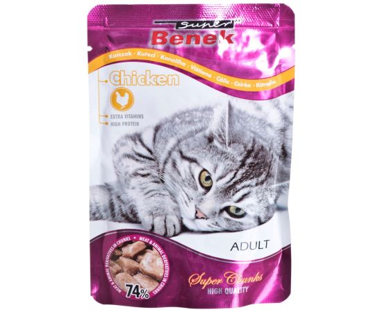 SUPER BENEK Chicken in sauce - wet cat food - 100 g