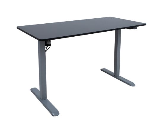 Desk ERGO LIGHT with 1 motor 120x60cm, silver grey/black