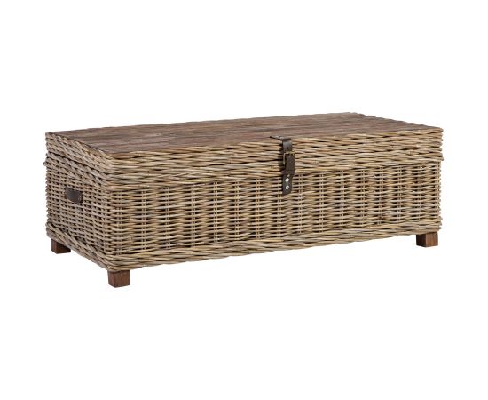 Lâde - papildgalds EGROS 120x60xH39cm, koka râmis ar rotangpalmas pinumu, pelçks