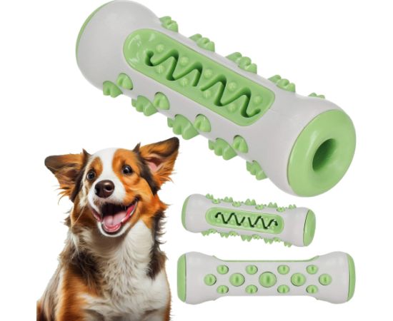 Springos suņu košļājamā rotaļlieta PA1053